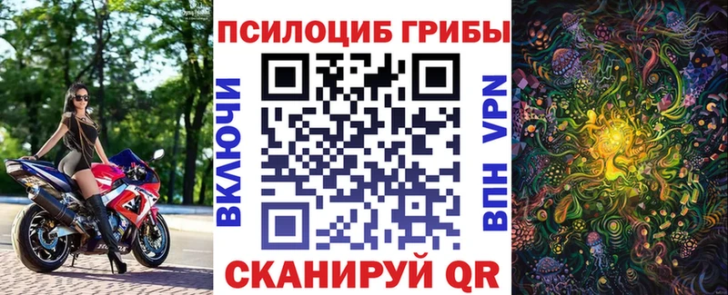 Псилоцибиновые грибы Psilocybe  закладка  Дагестанские Огни 